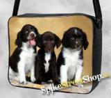 DOGS COLLECTION - Traja psíci - taška na rameno 