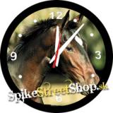 Horses Collection - MUSTANG - Anglický plnokrvník - nástenné hodiny