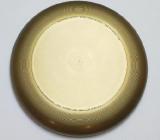 Disk FRISBEE - UltiPro-Blank GOLD