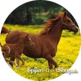 Horses Collection - KOBYLA A ŽRIEBATKO - odznak