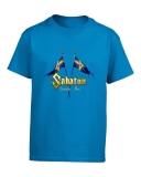 SABATON - Cruise Sweden Flag - šedé pánske tričko