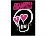 5 SECONDS OF SUMMER - Pink Skull - vlajka