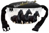 Ľadvinka HORSES COLLECTION - 3 Black Horses