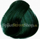 Farba na vlasy DIRECTIONS - ALPINE GREEN