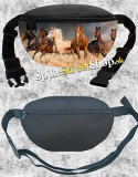 Ľadvinka HORSES COLLECTION - Divoké stádo žrebcov