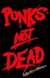 Samolepka PUNK IS NOT DEAD - B&R Logo