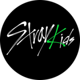STRAY KIDS - Oddinary Green Logo - odznak