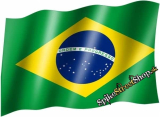 WORLD COUNTRIES - Brasil Flag - vlajka