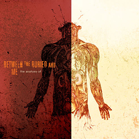Fotonášivka BETWEEN THE BURIED AND ME - The Anatomy Of