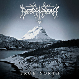 Fotonášivka BORKNAGAR - True North