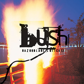 Fotonášivka BUSH - Razorblade Suitcase
