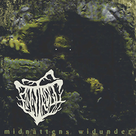 Fotonášivka FINNTROLL - Midnattens Widunder