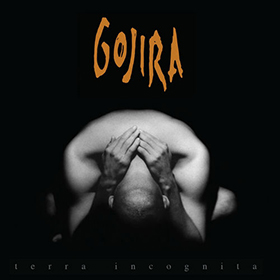 Fotonášivka GOJIRA - Terra Incognita
