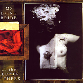 Fotonášivka MY DYING BRIDE - As The Flowers Withers
