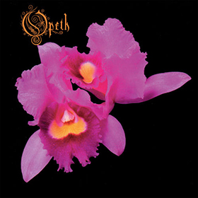 Fotonášivka OPETH - Orchid