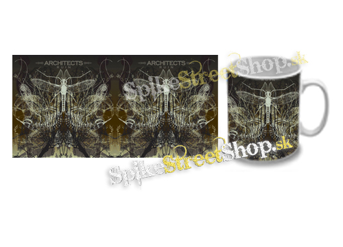 Hrnček ARCHITECTS - Ruin