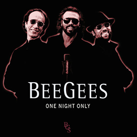 Fotonášivka BEE GEES - One Night Only