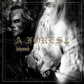 Fotonášivka BEHEMOTH - A Forest
