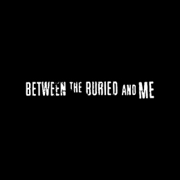 Fotonášivka BETWEEN THE BURIED AND ME - Logo