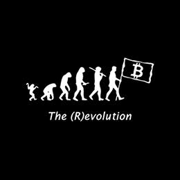 Fotonášivka BITCOIN EVOLUTION