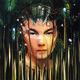Fotonášivka Björk - Bachelorette