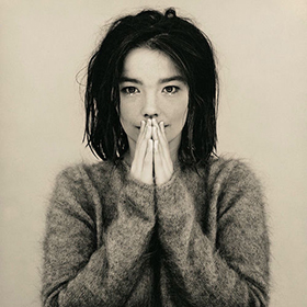 Fotonášivka Björk - Debut
