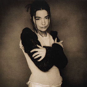 Fotonášivka Björk - Human Behaviour