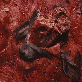 Fotonášivka CATTLE DECAPITATION - Human Jerky