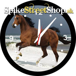 Horses Collection - PLNOKRVNÍK NA PLÁŽI - nástenné hodiny