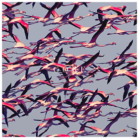 Fotonášivka DEFTONES - Gore