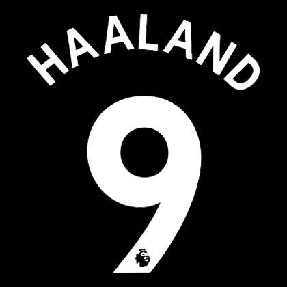 Fotonášivka ERLING HAALAND - 9