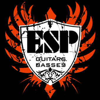 Fotonášivka ESP - Guitars, Basses