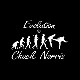 Fotonášivka CHUCK NORRIS - Evolution By Chuck Norris