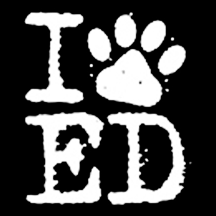 Fotonášivka I LOVE ED SHEERAN