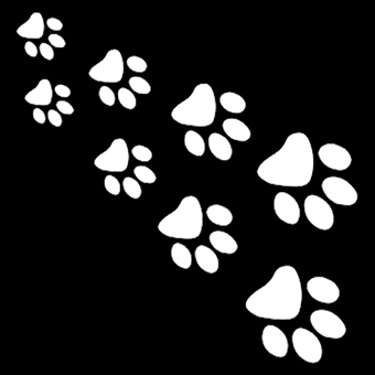 Fotonášivka LABKY - PAWS