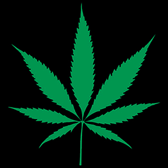 Fotonášivka MARIHUANA - Green Leaf