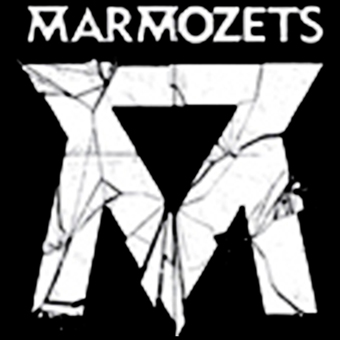 Fotonášivka MARMOZETS - Smashed Logo