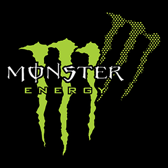 Fotonášivka MONSTER ENERGY - Green Logo Honey Bee