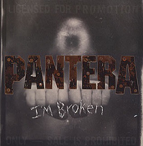 Fotonášivka PANTERA - I´m Broken
