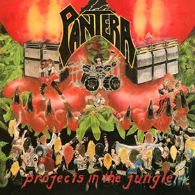 Fotonášivka PANTERA - Projects In The Jungle