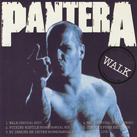 Fotonášivka PANTERA - Walk