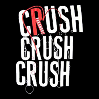 Fotonášivka PARAMORE - Crush