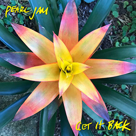 Fotonášivka PEARL JAM - Get it Back