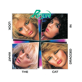 Fotonášivka POISON - Look What The Cat Dragged In