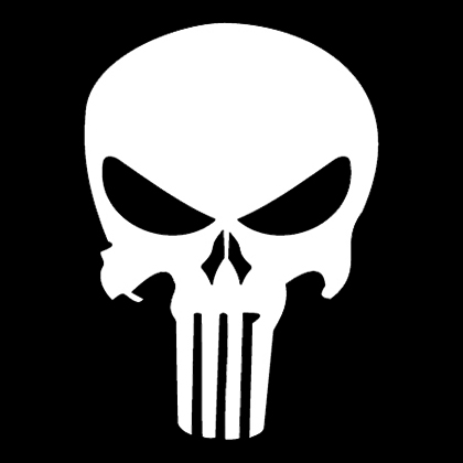 Fotonášivka PUNISHER - Skull
