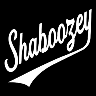 Fotonášivka SHABOOZEY - Logo Singer