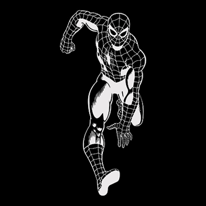 Fotonášivka SPIDERMAN