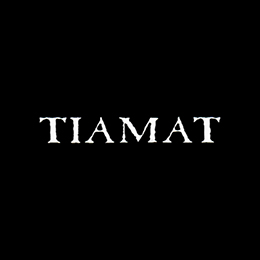 Fotonášivka TIAMAT - Logo Wildhoney