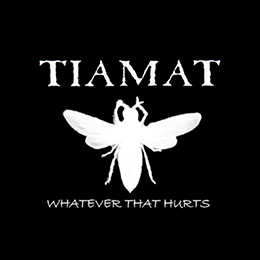 Fotonášivka TIAMAT - Whatever That Hurts