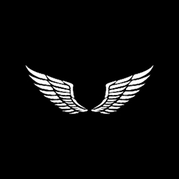 Fotonášivka WINGS - Krídla